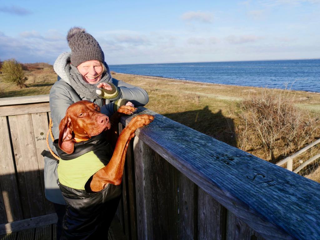 Wandern mit Nala an der Ostsee. Mit Hund am Meer.
