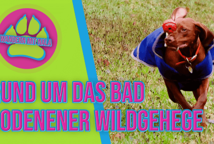 Wandern mit Nala – Rund ums Bad Sodener Wildgehege