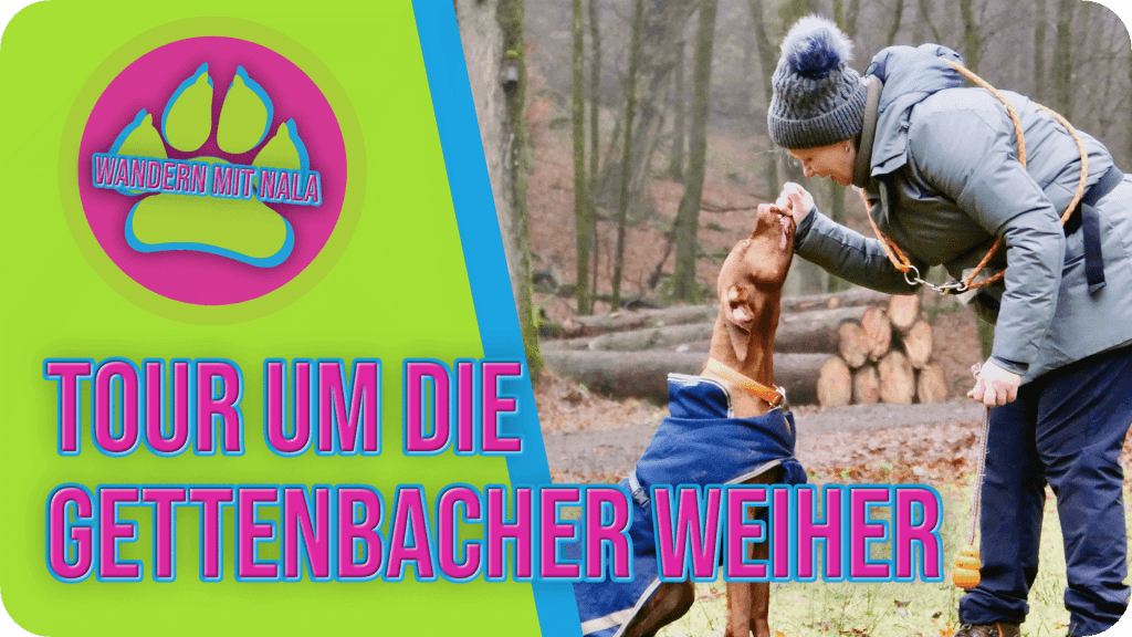 Wandern mit Nala - Tour um die Gettenbacher Weiher