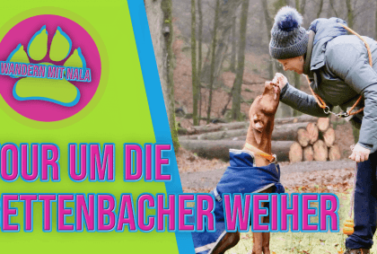 Wanderung um die Gettenbacher Weiher