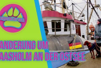 Wandern mit Nala – Wanderung um Maasholm an der Ostsee