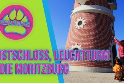 Wandern mit Nala – Lustschloss, Leuchtturm und die Moritzburg