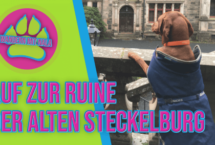 Wandern mit Nala – Auf zur Ruine der alten Steckelburg