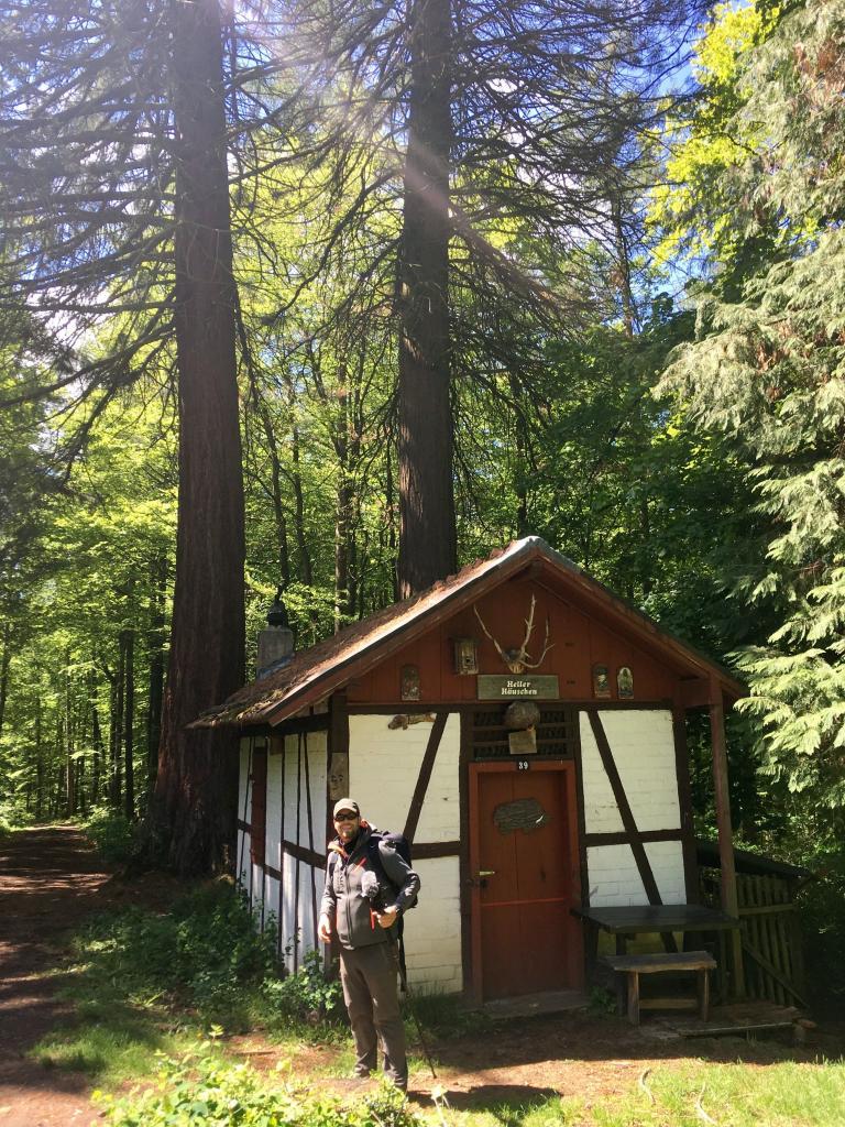 Die kleine Forsthütte am Mammutbaum
