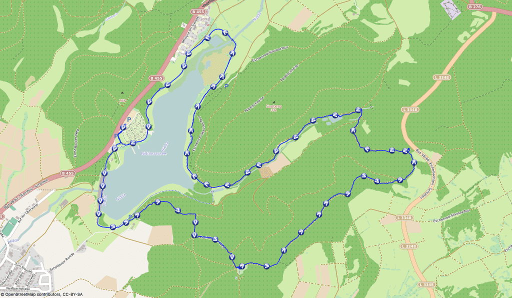 Mit Hund zu den Mammutbäumen wandern