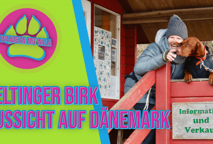 Wandern mit Nala – Geltinger Birk mit Aussicht auf Dänemark