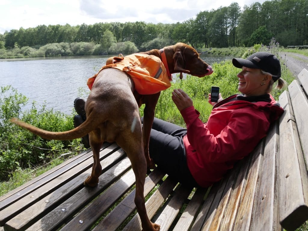 Pause auf der Holzliege am Rothenbachteich