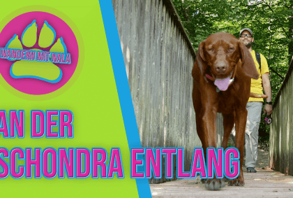 Wandern mit Nala – An der Schondra entlang