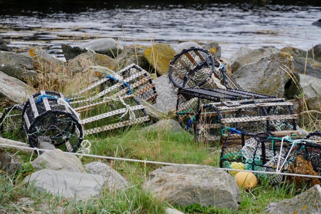 Fischreusen am Strand