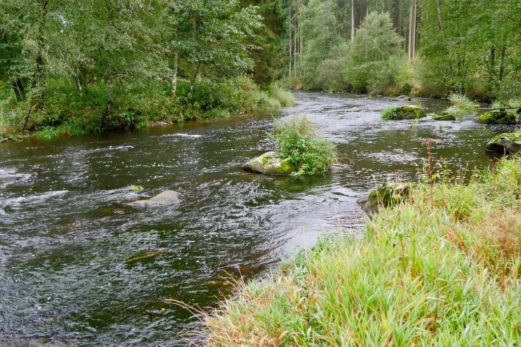 Der Schwarze Regen auf unserer Wanderung