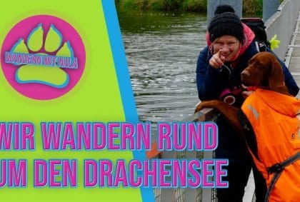 Wanderung um den Drachensee 🐉 – Bayerischer Wald – Wandern mit Hund 🐕