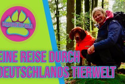 Durch Deutschlands Tierwelt – Bayerischer Wald – Wildgehege Lusen – Wandern mit Hund