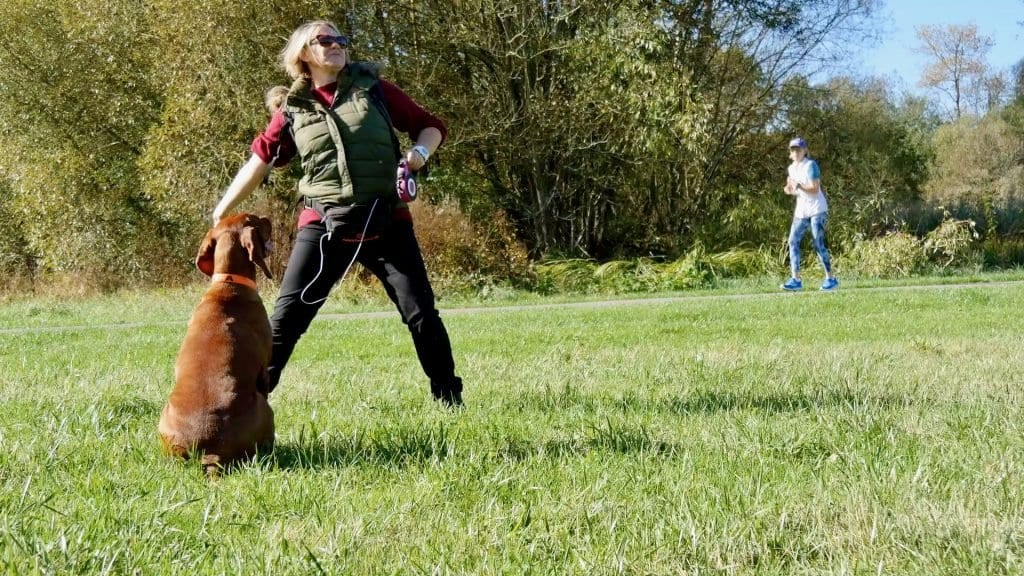 Nochmal kurz Ball apportieren, dann gehen wir in die Innenstadt von Fulda.