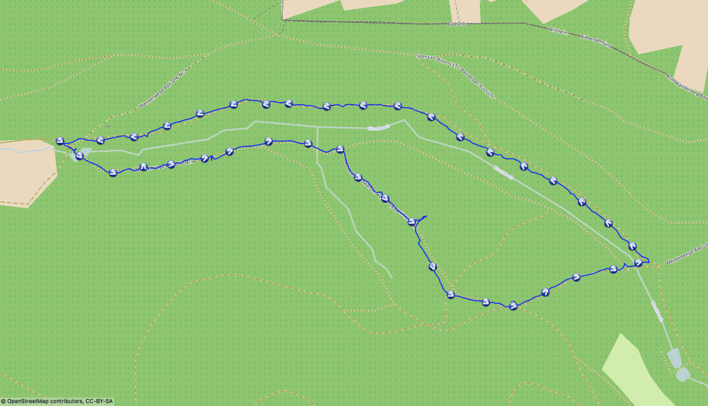 Wanderung mit Hund zur Waldkapelle Graue Ruhe im Spessart