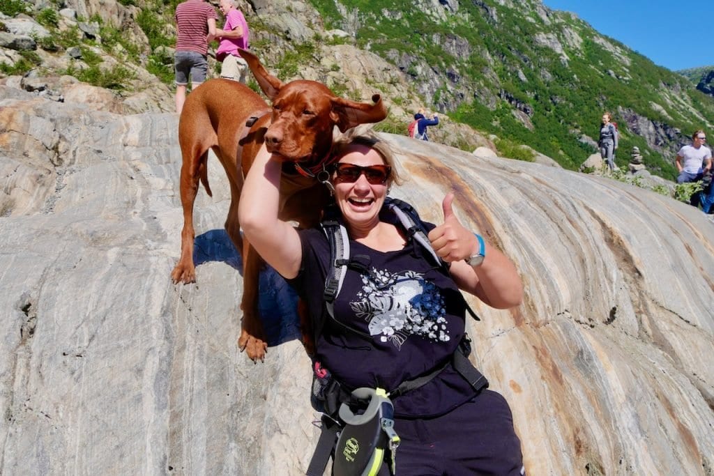 Hundeohren fliegen im Fallwind des Gletschers