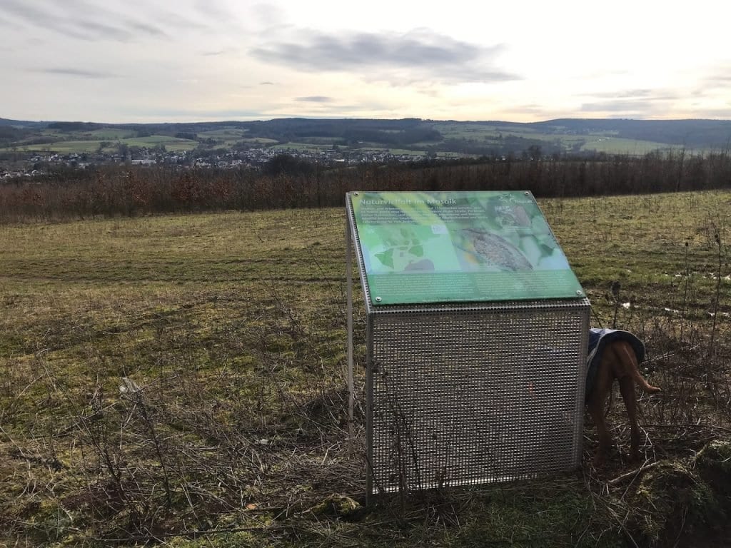 Hier entsteht ein neues Naturschutzgebiet