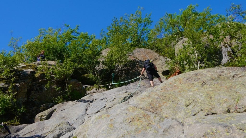 Nala erweist sich als wahre Bergziege. Hunde sind unglaublich trittsicher.