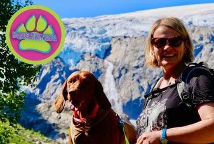 Hoch zum Gletscher 🏔️ – Buarbreen – Norwegen 🇳🇴 – Wandern mit Hund 🐕