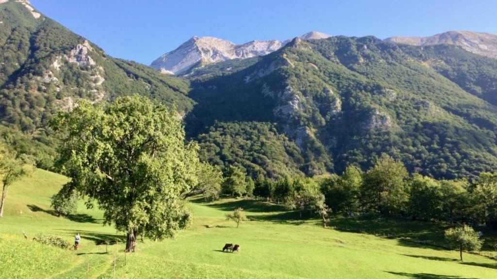 Die ersten Schritte auf unserer Tour führen über eine traumhafte Bergwiese