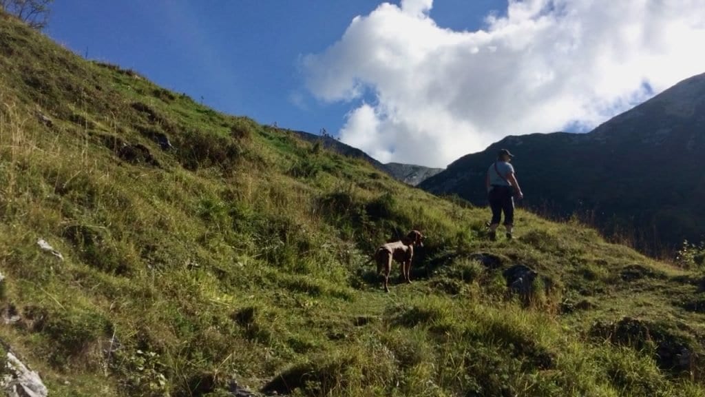 Wir haben die Baumgrenze erreicht