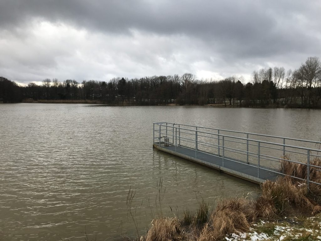 Der Dorfweiher. Hier ging es beim Strong Viking Lauf durch.