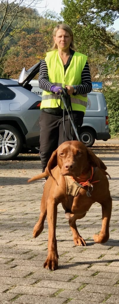 Elfi und Nala beim Mantrailing