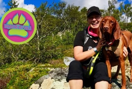 Wandern in Skinnarbu – Hardangervidda – Norwegen 🇳🇴 – Wandern mit Hund 🐕
