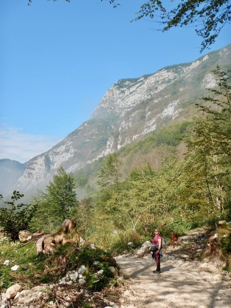 Die letzten Nebelschwaden kraxeln die berge empor