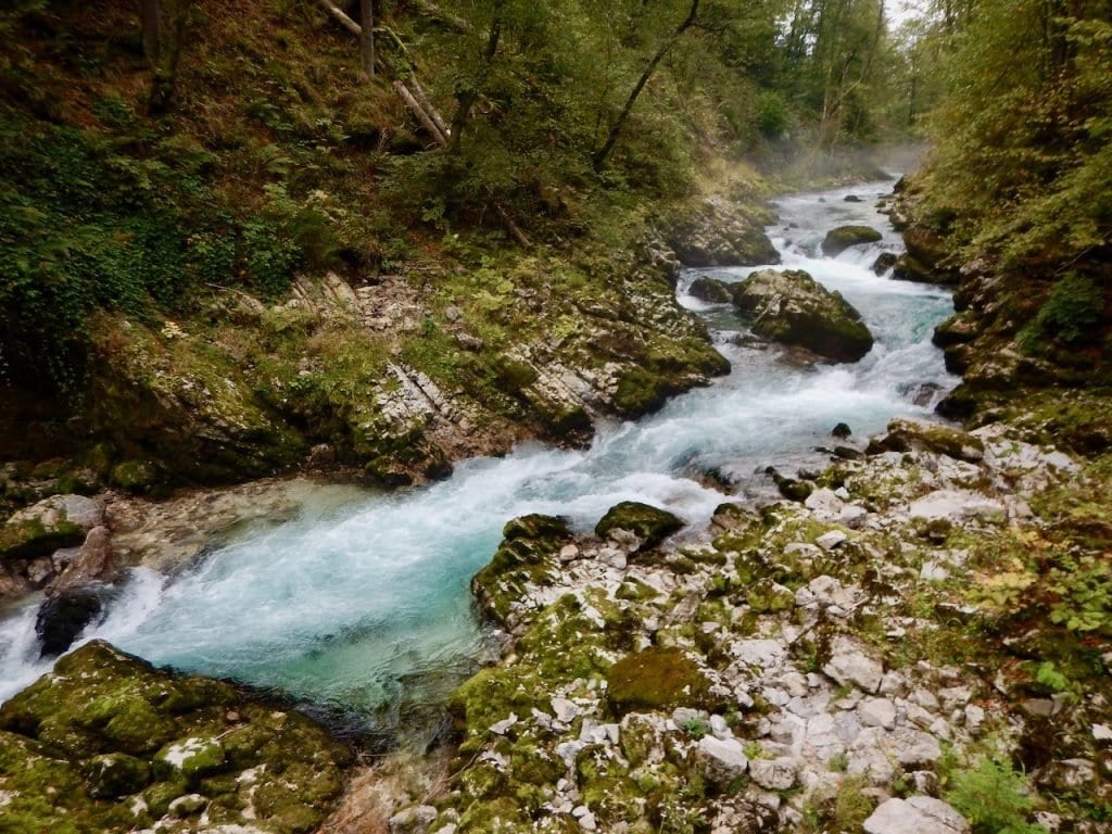 Das kleine Flüsschen Radovna hat sich durch einen harten Stein gegraben.