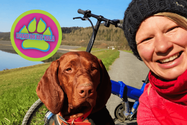 Radeln mit Nala 🐶  – Fahrrad 🚲 fahren mit Hund 🐕