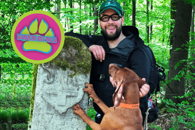 Von Kunst, Keltensteinen und Zwergendörfern – Wandern mit Hund im Spessart 🐕