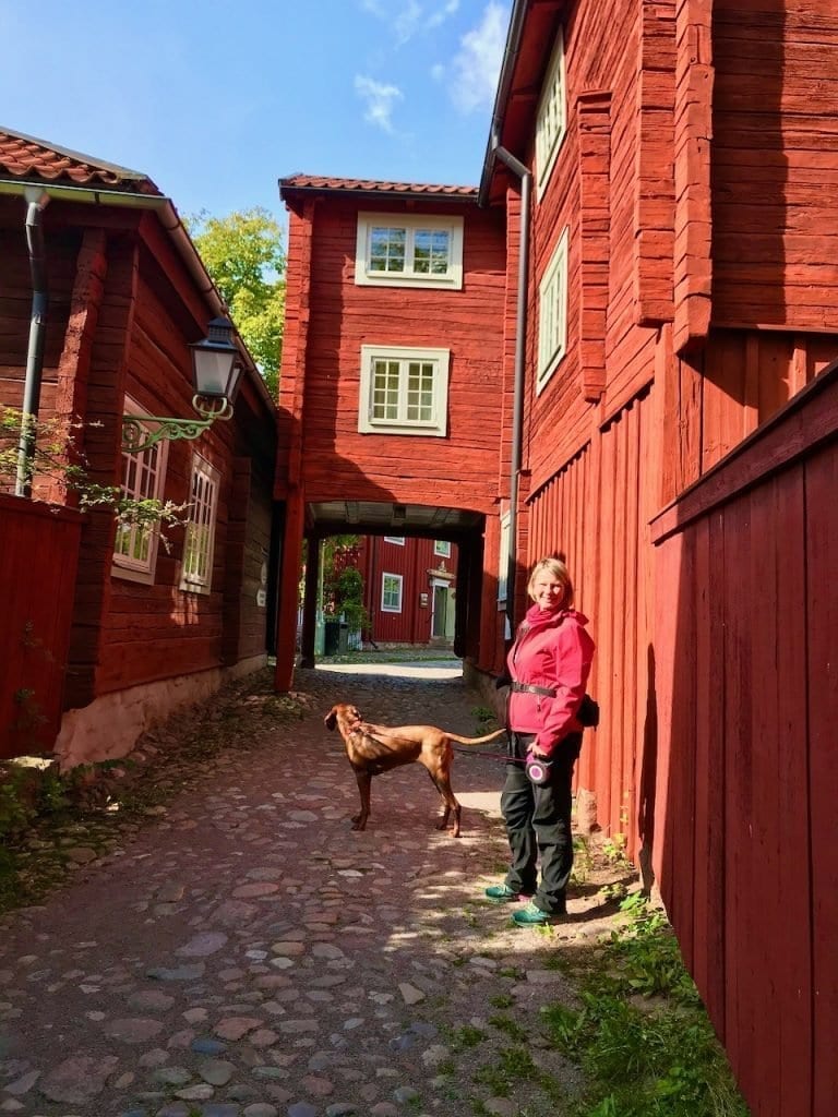 Die falunroten Häuser von Gamla Linköping